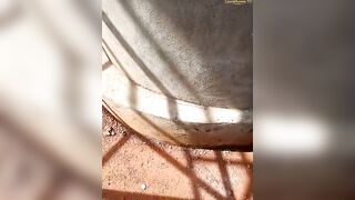 Assloveel - Public BBC Fuck