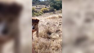 StephInSpace - Walking Naked Outside