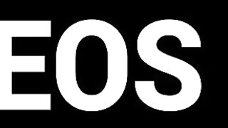 Delilah Raige Takes On Massive White Cock In Differentr Positions