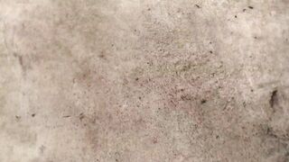 Sweetie Fox Gets Drilled By Stranger